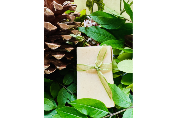 Vegan Organic Cedar Pine Soap
