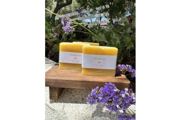 Citrus Soap