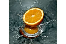 Plant-based ingredients 